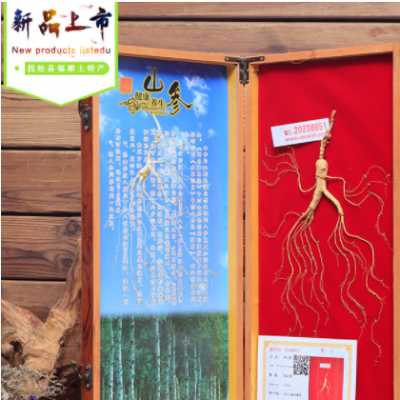 东北特产长白山林下山参 礼盒装单支山参送礼佳品一件代发货源