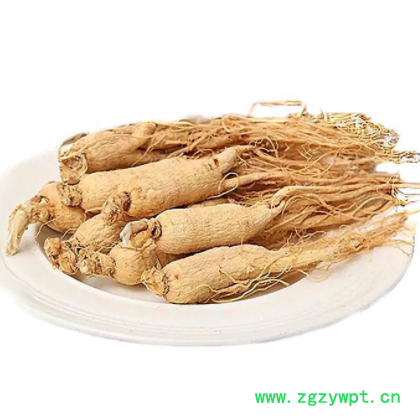 长白山人参批发 吉林厂家生晒参盒装500g25支左右原皮全须白参干图3