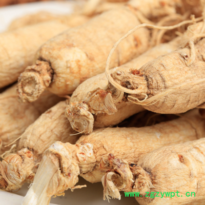 长白山人参批发 吉林厂家生晒参盒装500g25支左右原皮全须白参干图2