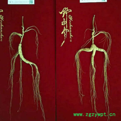 产地一手批发野山参长白山林下参80cm皮盒礼品赠送礼盒款包装人参图2