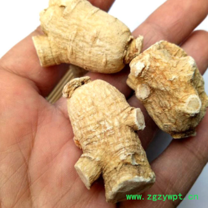 国产西洋参粒头软质长白山花旗短支西洋参个条段切片东北特产批发图2