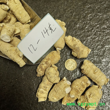 国产西洋参粒头软质长白山花旗短支西洋参个条段切片东北特产批发图3