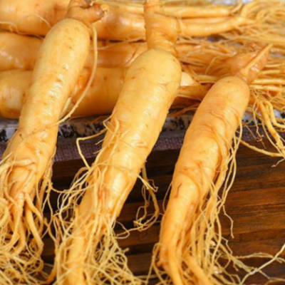 赠品会销礼品东北鲜人参 长白山小人参 吉林人参保鲜参泡酒 煲汤