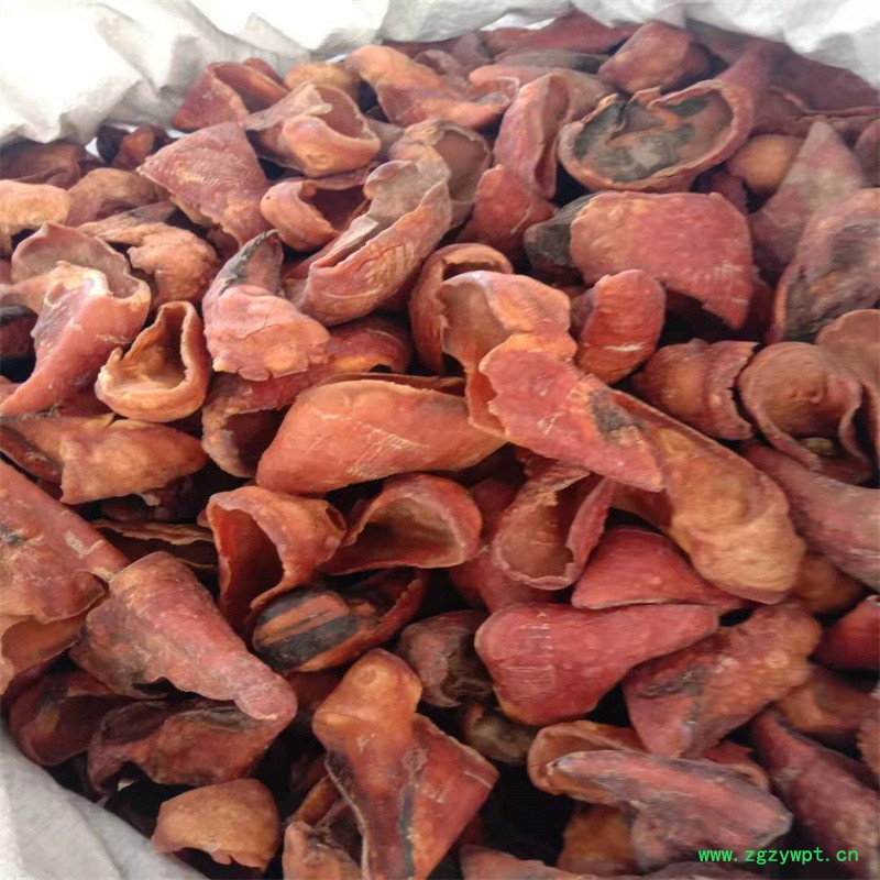 微信图片_20210831125451