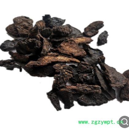 问心药业 供应生地黄 别名 生地 鲜生地 鲜地黄 山菸根原生态批发图3