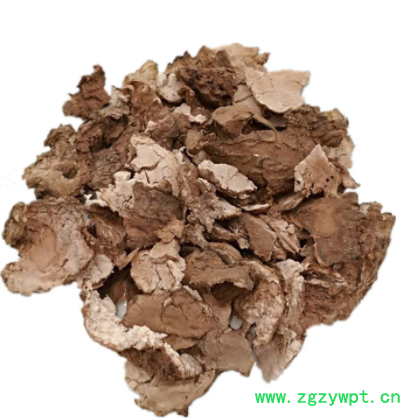 500g茯苓别名丁云苓松苓茯灵茯菟松腴不死面原生态中药材一件代发图3