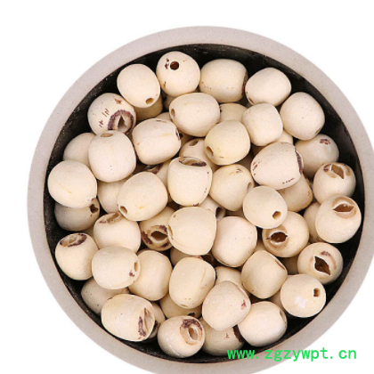 白莲子中药材去芯白莲子 湘潭白莲子大货批发量大从优白莲子图2