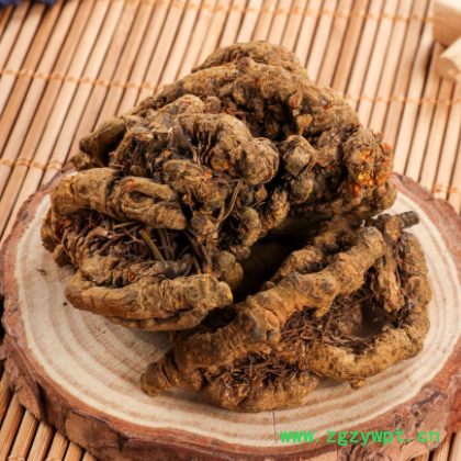 批发中药材 黄连 黄莲 黄连片黄连个 干净无泥沙黄连 免费打粉图3