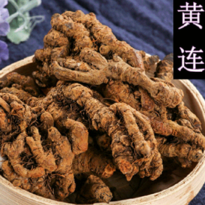 批发中药材 黄连 黄莲 黄连片黄连个 干净无泥沙黄连 免费打粉