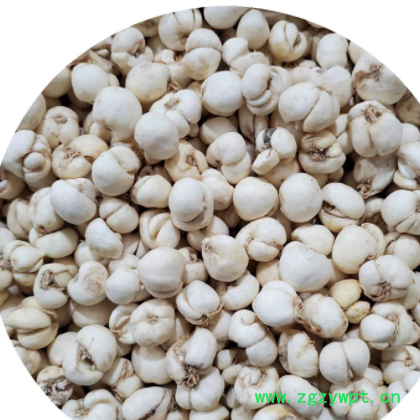 批发中药材 川贝 川贝母 250克/袋 实物拍摄川贝图3