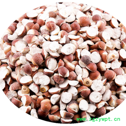 批发中药材 芡实 芡实米 标准10厘芡实 鸡斗米 免费打粉 薏苡仁图3