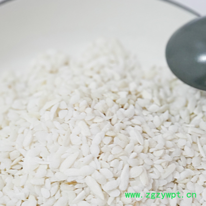 批发中药材 鱼脑石 鱼脑石粉 无杂质 质优选料 实物拍摄