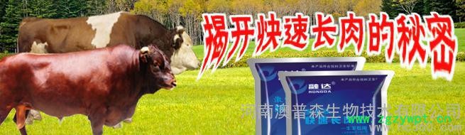 肉牛添加剂 肉牛添加剂