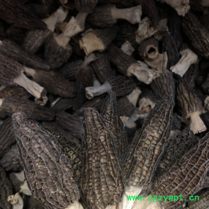 头期羊肚菌6-8公分厚肉颜色黑浓香50克一包食用菌菇干货煲汤材料图2