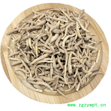 福建拓荣太子参孩儿参童参天然药材药食同源儿童煲汤原材料500g图3