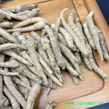 国产花旗参西洋参山东硬质硬肉2-2.5克规格参条参段2021年新货图3