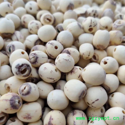 建宁白莲子干货去芯产地直销磨皮红莲子500g一件代发批发图2