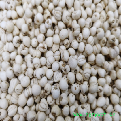 川贝母 松贝 松贝母 千珍 中药材 支持检测 可开发票图3