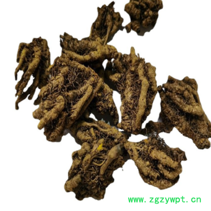 黄连 黄连片 单只黄连 鸡爪黄连 可检验 联系客服可供发票等手续图3