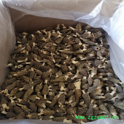 羊肚菌 批发 持检验 联系客服可提供发票等购销手续 1份250克图2