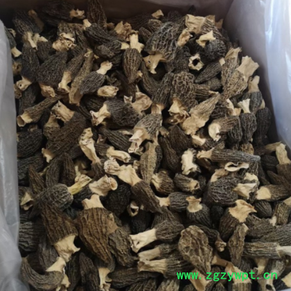 羊肚菌 批发 持检验 联系客服可提供发票等购销手续 1份250克图3