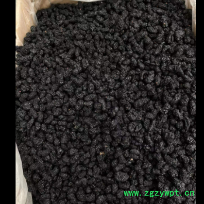 桑葚 诚信经营 价格实惠 质优原料 量大从优 欢迎选购图3