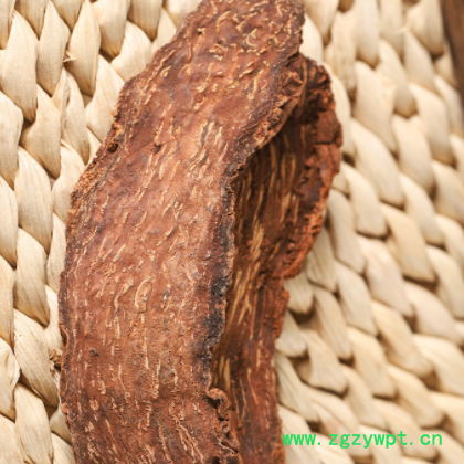 锁阳 诚信经营 价格实惠 质优原料 量大从优 欢迎选购图2