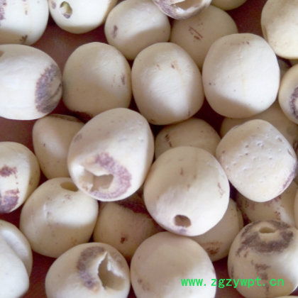 红莲子白莲子散装500g多种中药材使用农产品批发安国药材食材图2