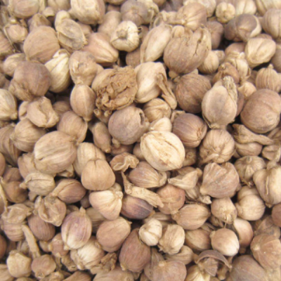 中药材白豆蔻红寇250g多规格散装售卖现货批发药材跑江湖地摊礼品