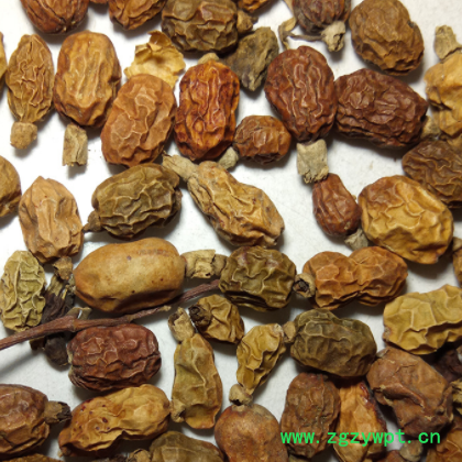 中药材白豆蔻红寇250g多规格散装售卖现货批发药材跑江湖地摊礼品图2