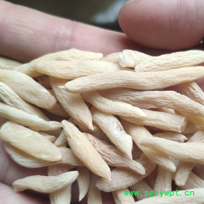 批发中药材麦冬250g散装产地货源多种药材跑江湖地摊礼品抓药代发图2