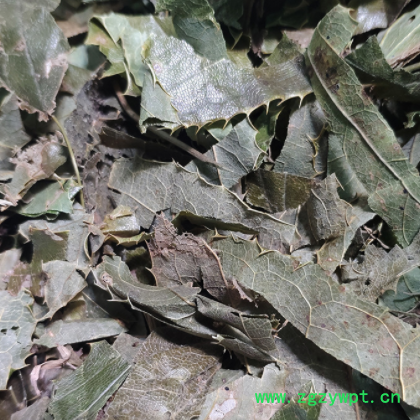 批发淫羊藿药材250克散装中药材干货多种跑江湖地摊安国产地货源图2