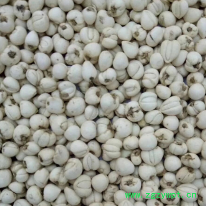 批发中药材浙贝平贝药材250克散装代发跑江湖摆地摊仿川贝图2