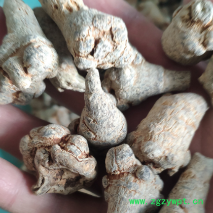 三七头田七头产地货源三七根条各种中药材支持现货批发地摊礼品