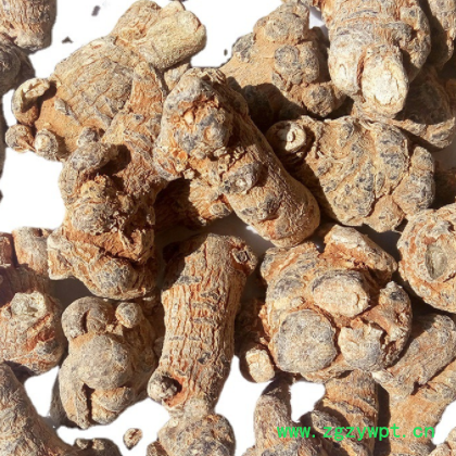 三七头田七头产地货源三七根条各种中药材支持现货批发地摊礼品图2