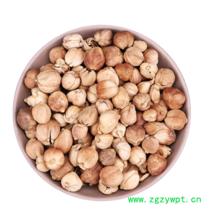 中药材新货白寇 香料批发炖肉煲汤卤料白豆蔻 调料代客打粉白蔻仁图3