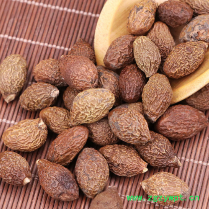 中药材新货胖大海 泡水泡茶花果茶 大货可开票散装圆果长果胖大海图2