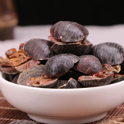 金边土元批发昆虫原药材 清水土元 土鳖虫 地鳖虫 中药材水洗土元