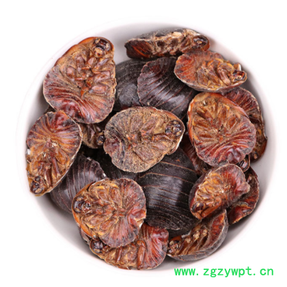 金边土元批发昆虫原药材 清水土元 土鳖虫 地鳖虫 中药材水洗土元图3
