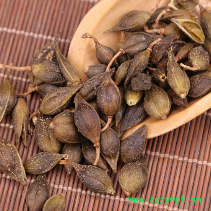 连翘常年大货 中药材连翘 黄翘农产品批发 量大价优各种规格连翘图2