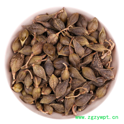 连翘常年大货 中药材连翘 黄翘农产品批发 量大价优各种规格连翘图3