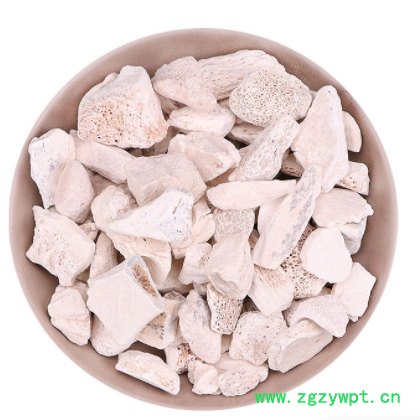 水洗白龙骨 中药材批发煅龙骨 大货五花龙骨 一件代发青龙骨图3