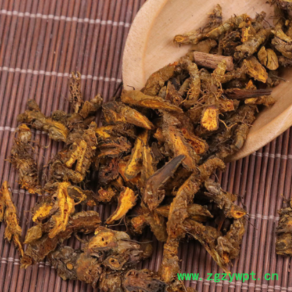 中药材基地川黄连 胡黄连 新货黄连片 石柱黄连 单支连 鸡爪连图3