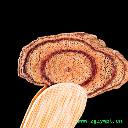 鸡血藤 鸡血屯 中药材鸡血藤 鸡血腾 鸡血滕 大量现货 产地货源图2