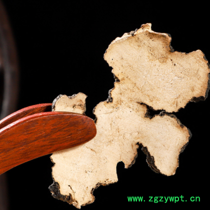 猪苓 中药材猪苓 猪苓批发猪苓 猪苓粉 大量现货 产地货源图2