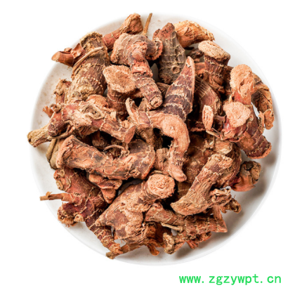 良姜 高良姜 调味香料良姜 中药材良姜 卤料良姜 产地大量现货图3