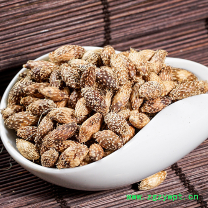 苍耳子 炒苍耳子 去刺苍耳子 中药材苍耳子 牛虱子 产地大量现货图2