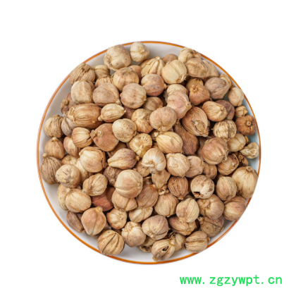 豆蔻 肉豆蔻 白豆蔻 草豆蔻 红豆蔻 紫豆蔻 中药材豆蔻 香料豆蔻图3