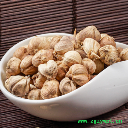 豆蔻 肉豆蔻 白豆蔻 草豆蔻 红豆蔻 紫豆蔻 中药材豆蔻 香料豆蔻图2