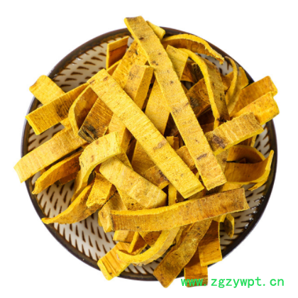 黄柏批发黄柏 中药材黄柏 大量现货 产地货源图3